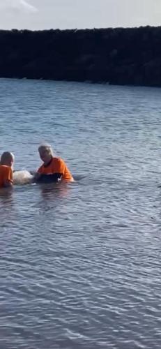 Batismos - João e Catarina